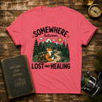 Somewhere Between Lost and Healing